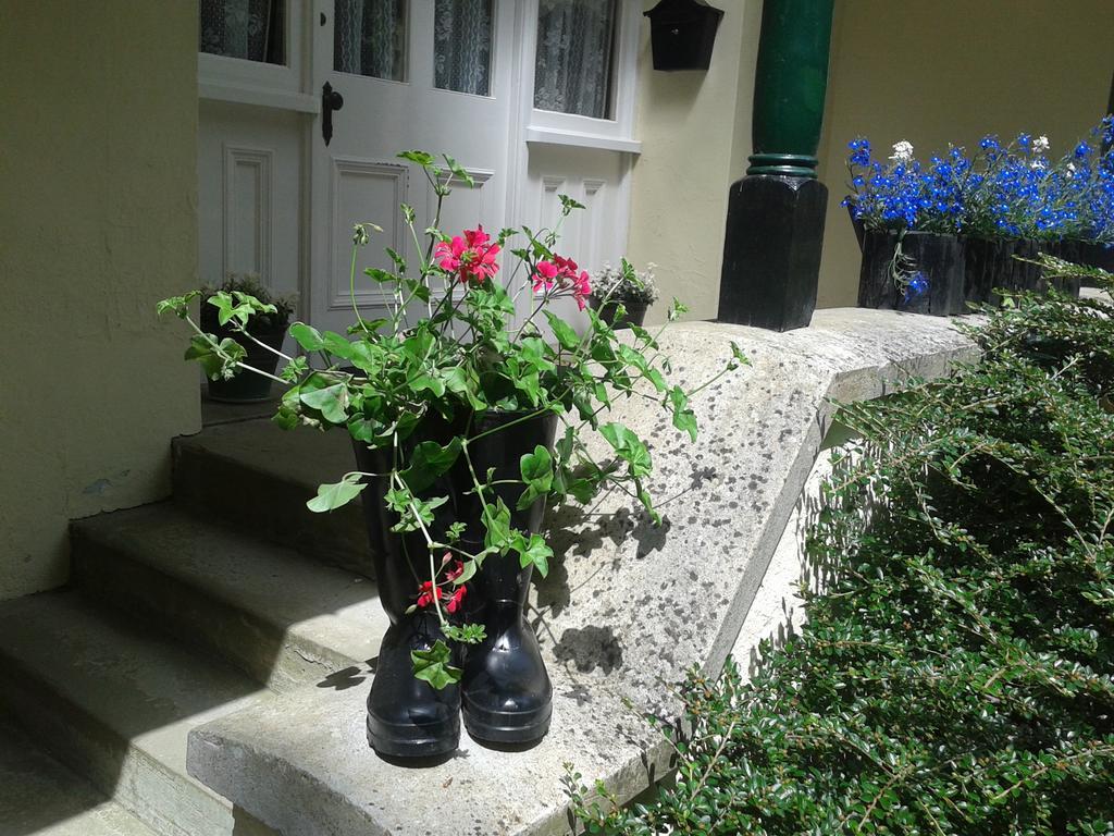 Westleigh House Farm Bed and Breakfast Bideford Værelse billede