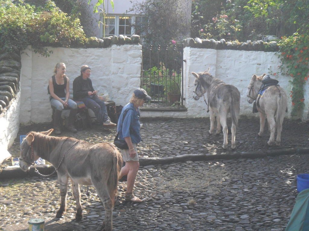 Westleigh House Farm Bed and Breakfast Bideford Eksteriør billede
