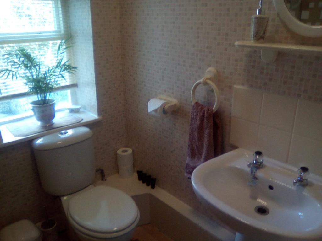 Westleigh House Farm Bed and Breakfast Bideford Eksteriør billede